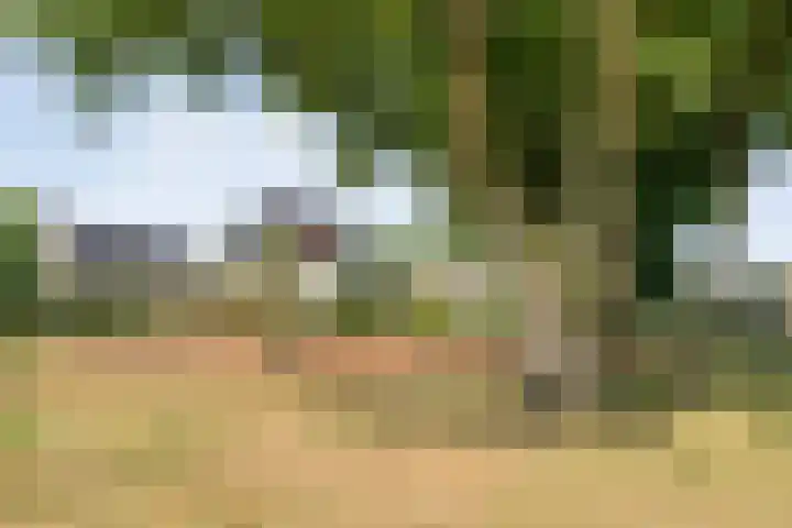 Lisdodde 26 Nijverdal thumbnail 43