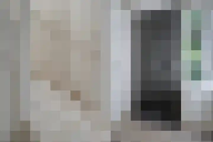 Lisdodde 26 Nijverdal thumbnail 6