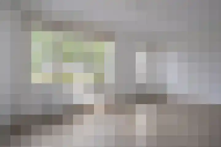 Lisdodde 26 Nijverdal thumbnail 8