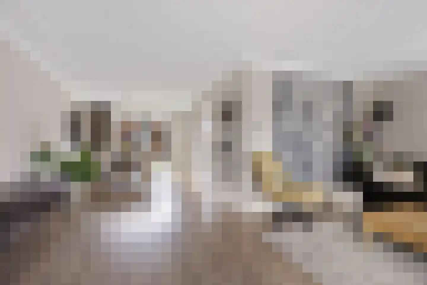 Lisdodde 28 Genemuiden thumbnail 17