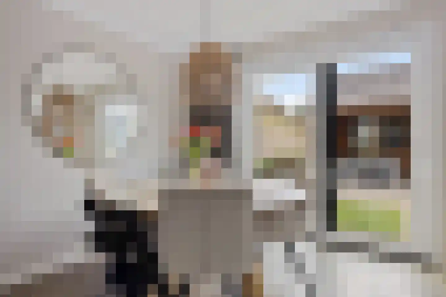 Lisdodde 28 Genemuiden thumbnail 20