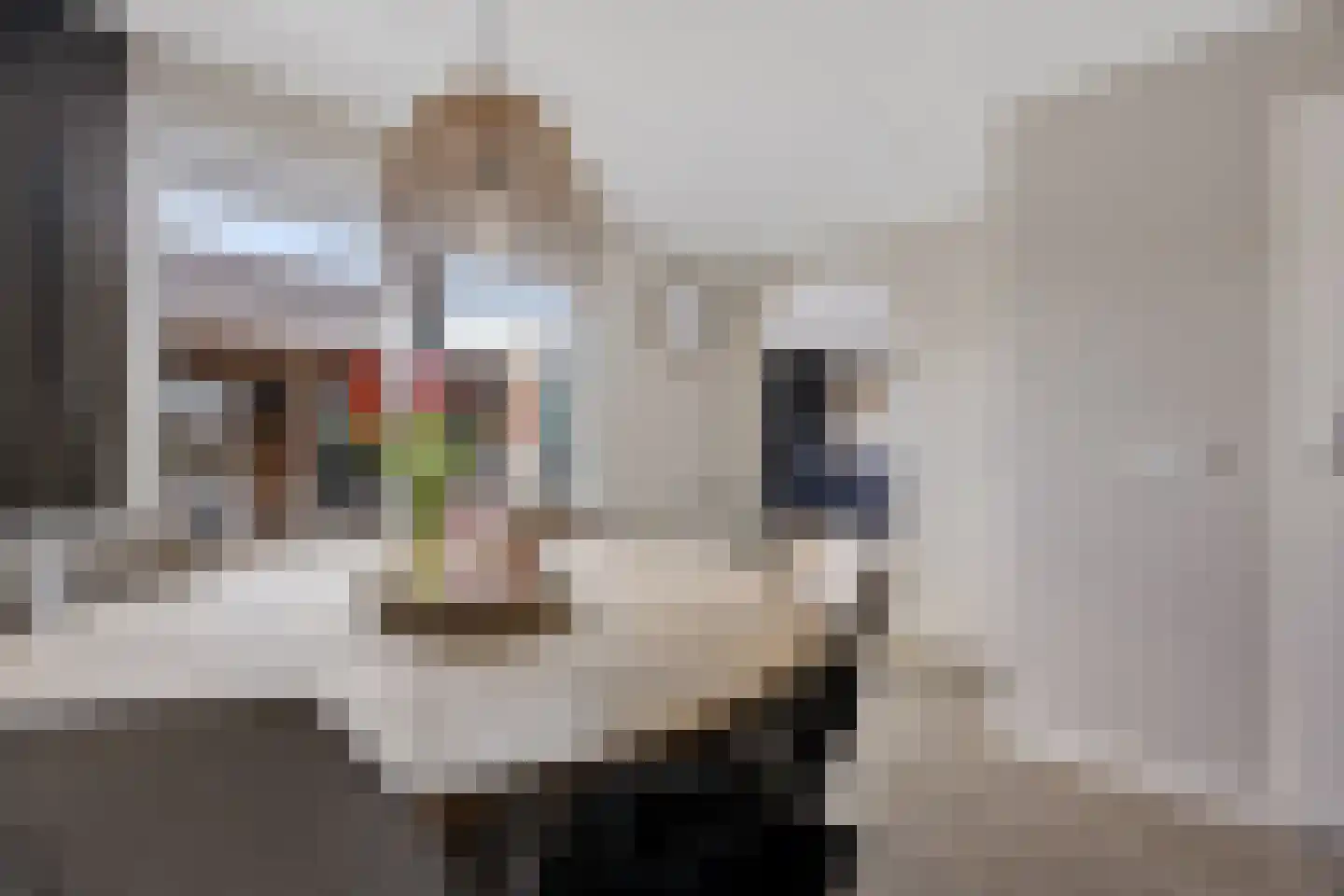 Lisdodde 28 Genemuiden thumbnail 21