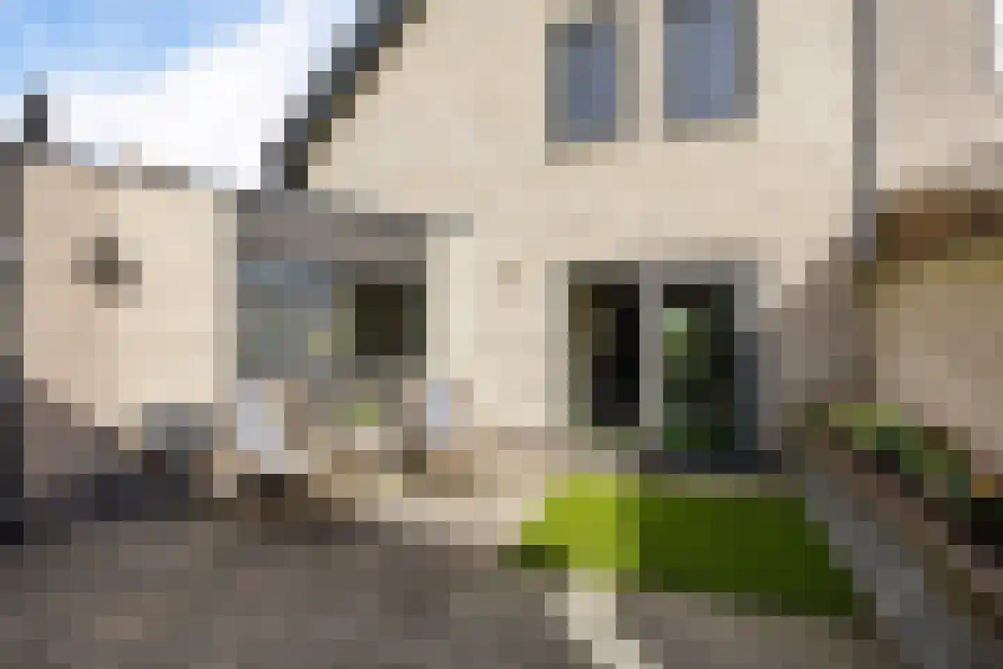 Lisdodde 28 Genemuiden thumbnail 27