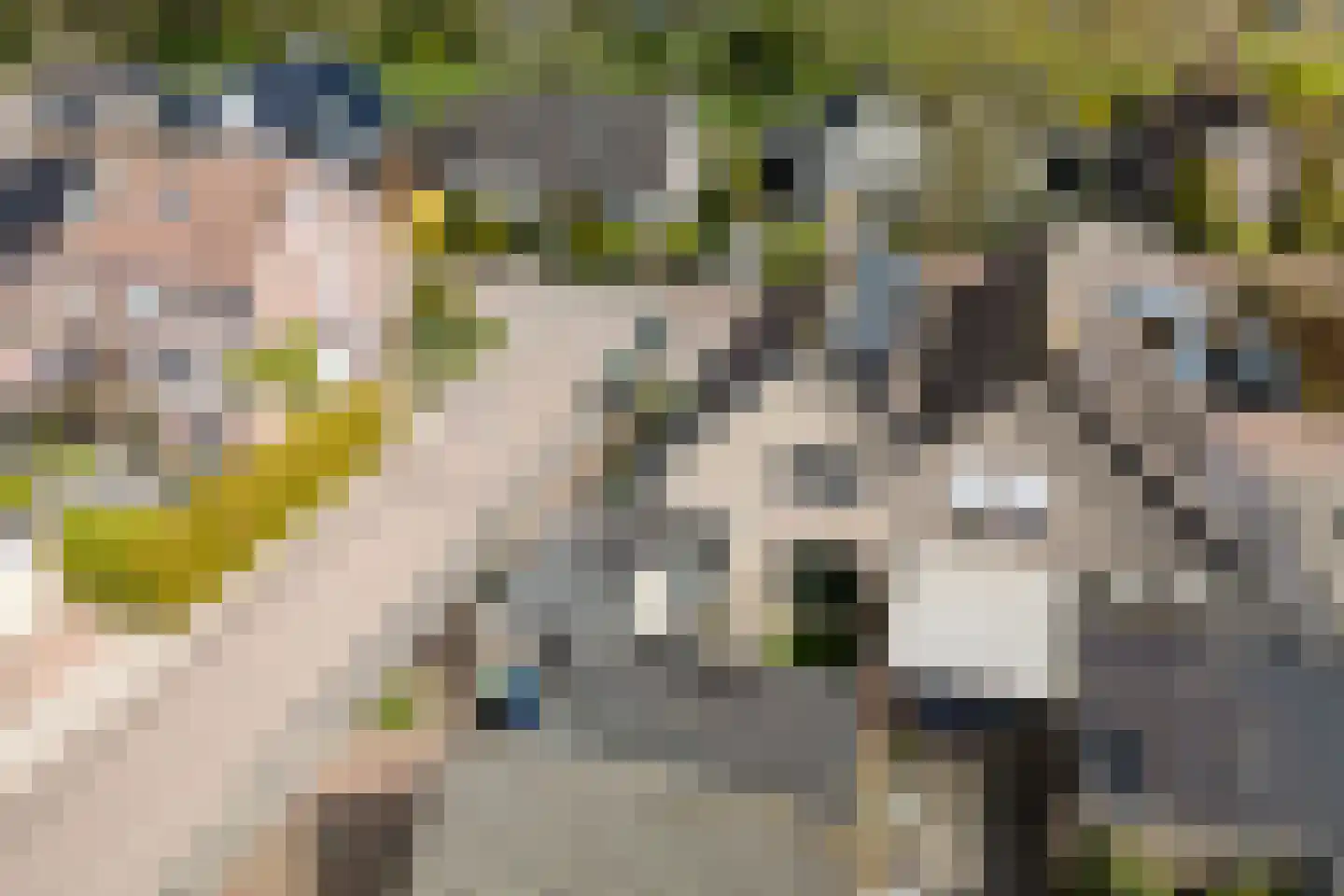 Lisdodde 28 Genemuiden thumbnail 5