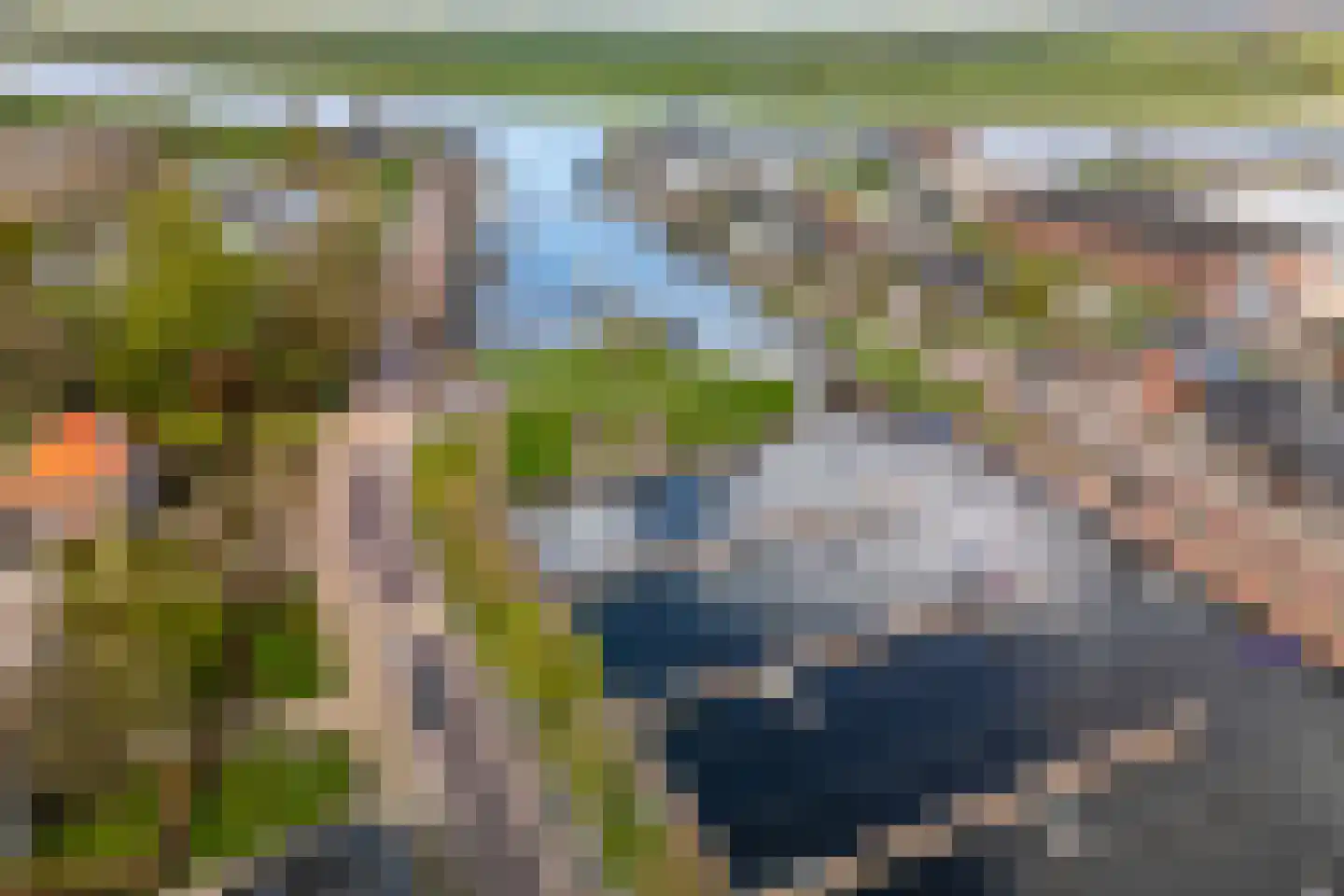 Lisdodde 28 Genemuiden thumbnail 7