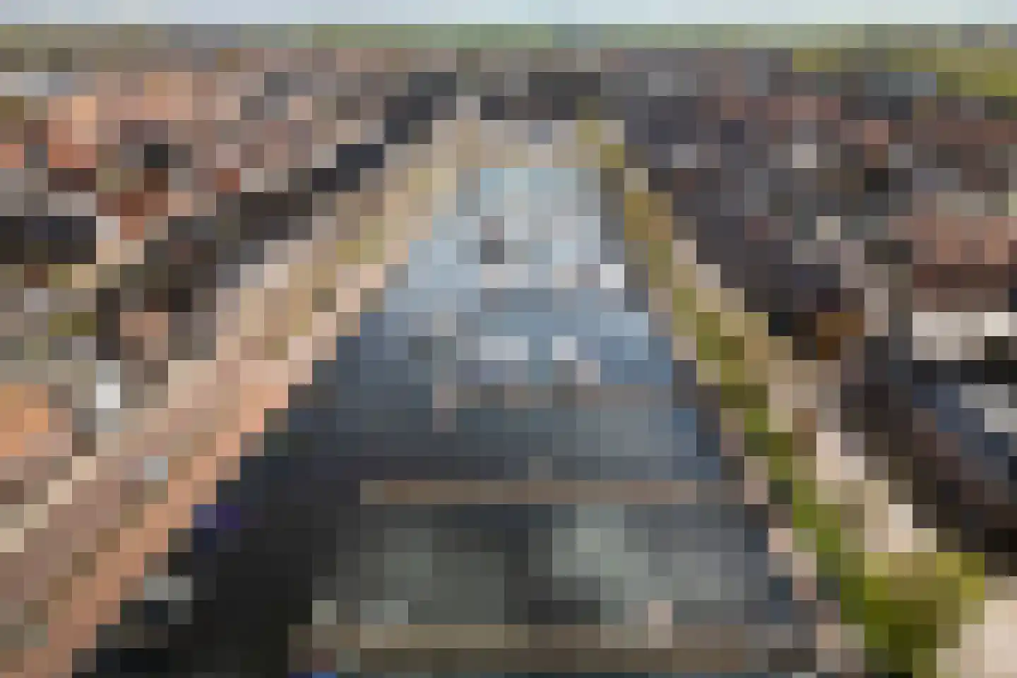 Lisdodde 28 Genemuiden thumbnail 8