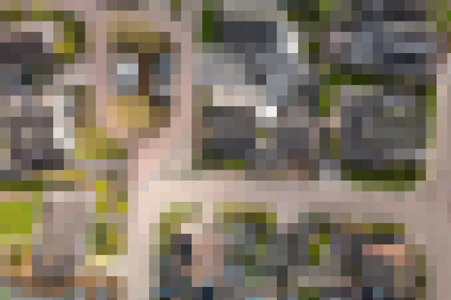 Lisdodde 28 Genemuiden thumbnail 9