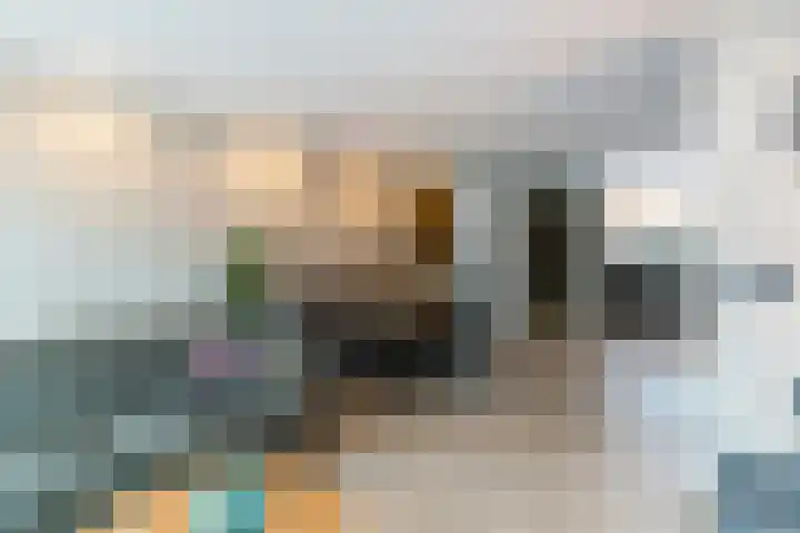 Lisdodde 28 Naaldwijk thumbnail 11