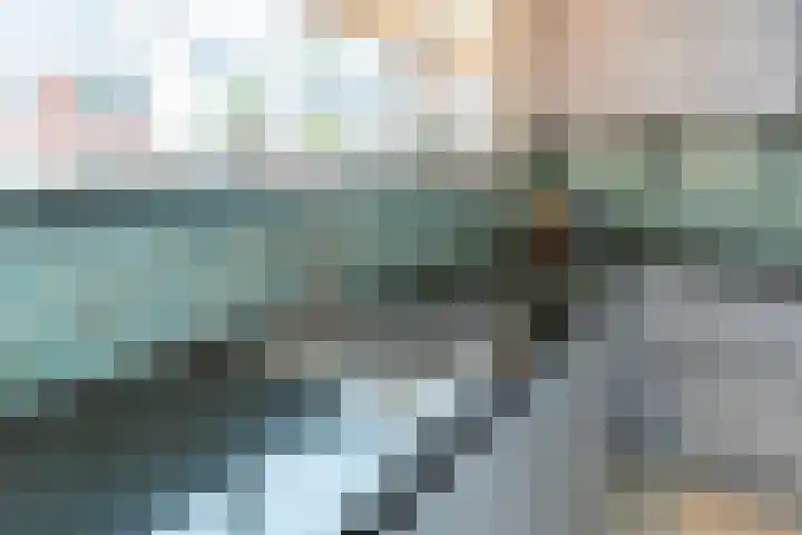 Lisdodde 28 Naaldwijk thumbnail 18
