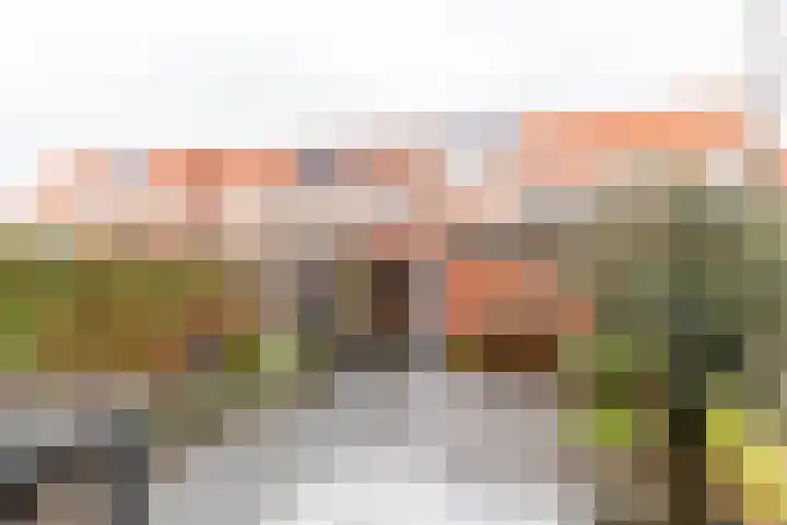 Lisdodde 28 Naaldwijk thumbnail 19