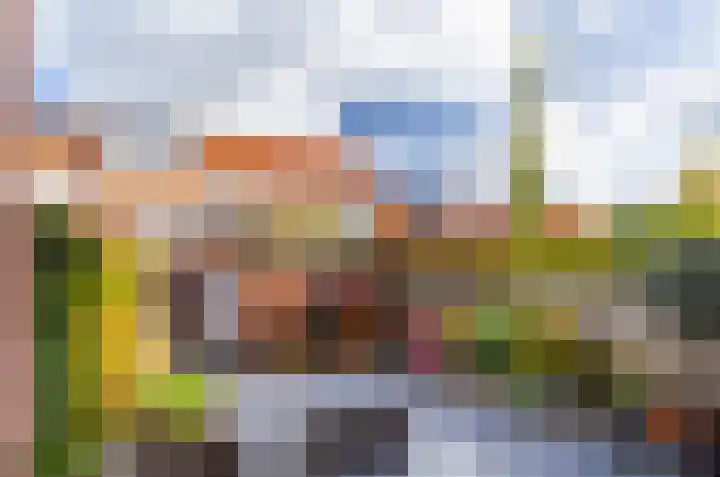 Lisdodde 28 Naaldwijk thumbnail 20