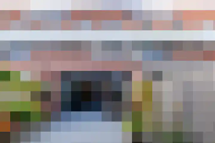 Lisdodde 28 Naaldwijk thumbnail 22