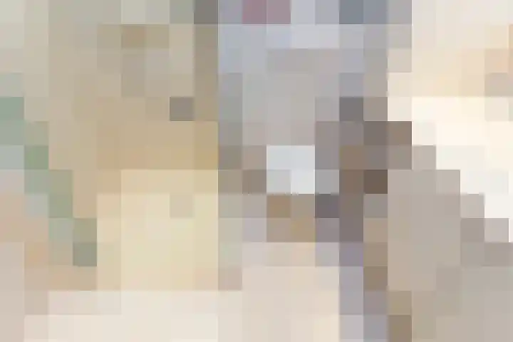 Lisdodde 28 Naaldwijk thumbnail 35