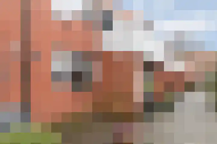 Lisdodde 28 Naaldwijk thumbnail 52
