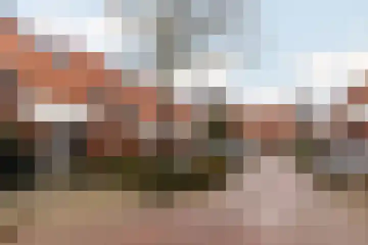 Lisdodde 28 Naaldwijk thumbnail 56