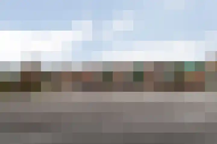 Lisdodde 28 Naaldwijk thumbnail 57