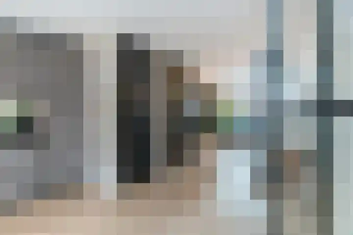 Lisdodde 28 Naaldwijk thumbnail 6