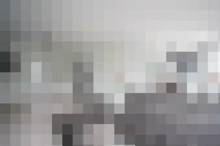 Lisdodde 28 Tegelen thumbnail 10