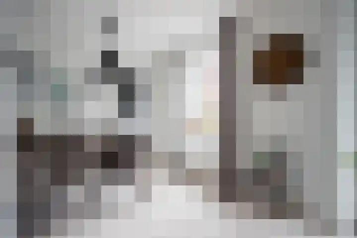 Lisdodde 28 Tegelen thumbnail 12