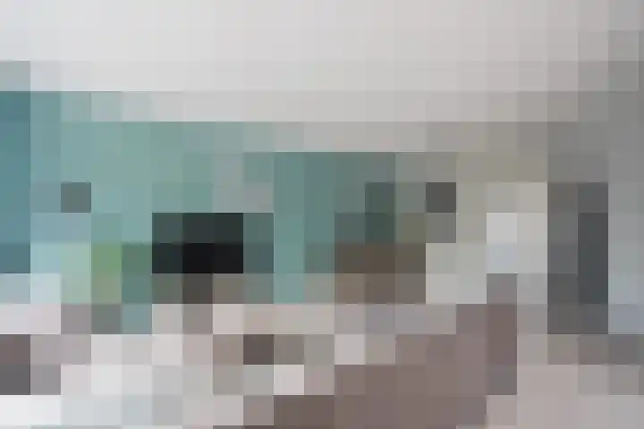 Lisdodde 28 Tegelen thumbnail 13