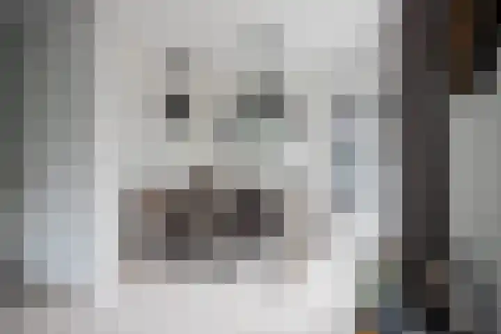 Lisdodde 28 Tegelen thumbnail 14