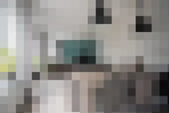 Lisdodde 28 Tegelen thumbnail 16