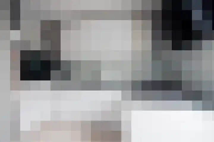 Lisdodde 28 Tegelen thumbnail 17