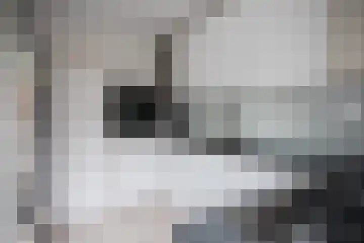 Lisdodde 28 Tegelen thumbnail 18
