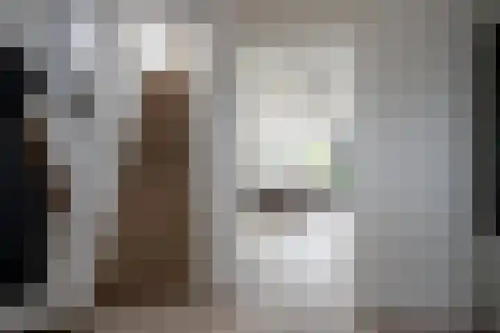 Lisdodde 28 Tegelen thumbnail 19
