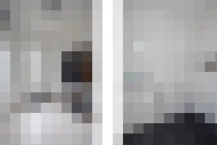 Lisdodde 28 Tegelen thumbnail 20