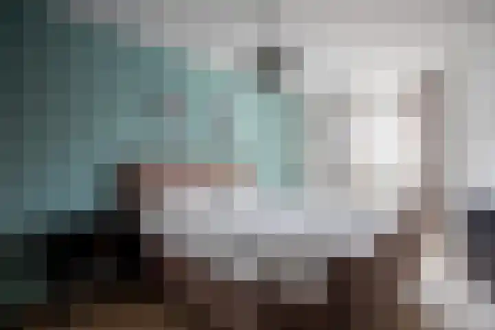 Lisdodde 28 Tegelen thumbnail 22