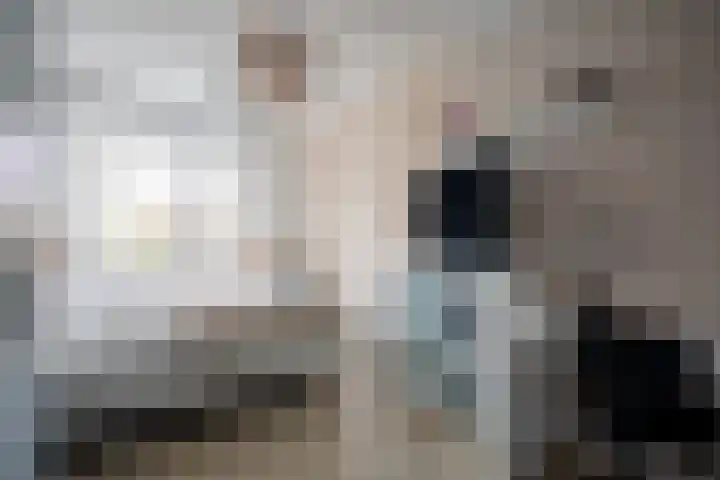 Lisdodde 28 Tegelen thumbnail 24