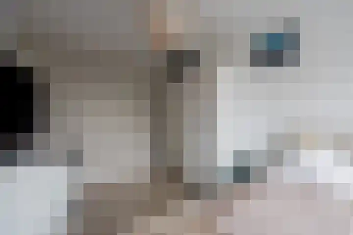 Lisdodde 28 Tegelen thumbnail 25