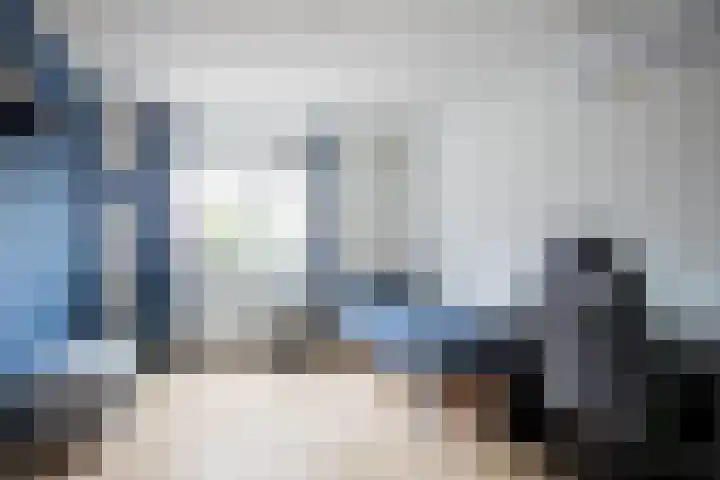 Lisdodde 28 Tegelen thumbnail 26