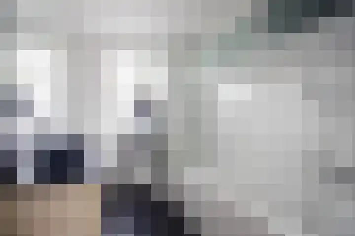 Lisdodde 28 Tegelen thumbnail 28