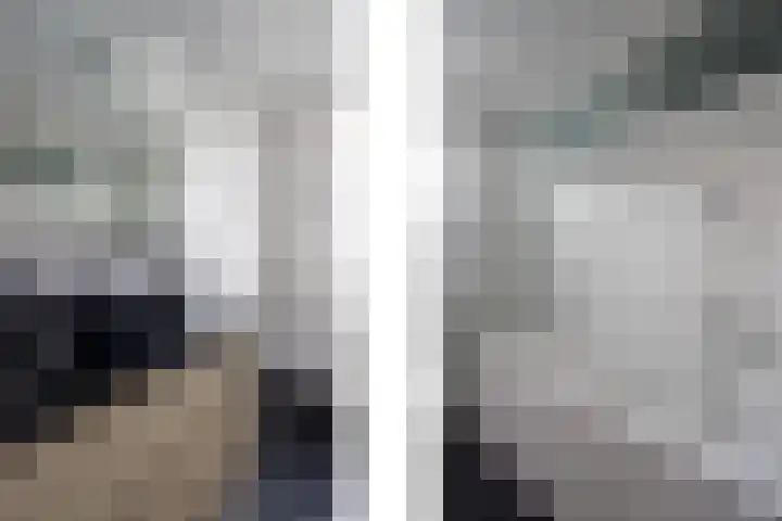Lisdodde 28 Tegelen thumbnail 29