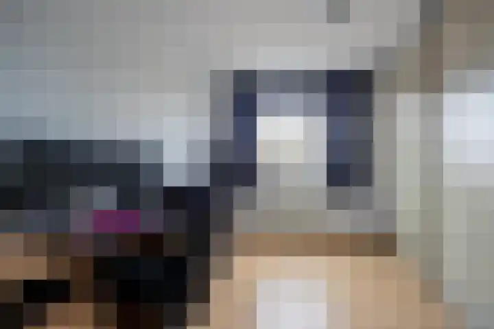 Lisdodde 28 Tegelen thumbnail 30