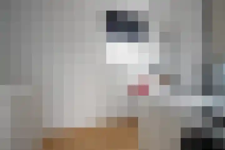 Lisdodde 28 Tegelen thumbnail 32