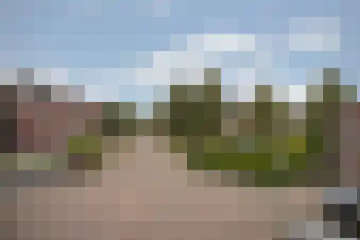 Lisdodde 28 Tegelen thumbnail 33