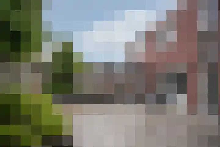 Lisdodde 28 Tegelen thumbnail 36