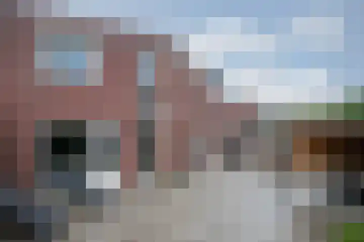 Lisdodde 28 Tegelen thumbnail 37