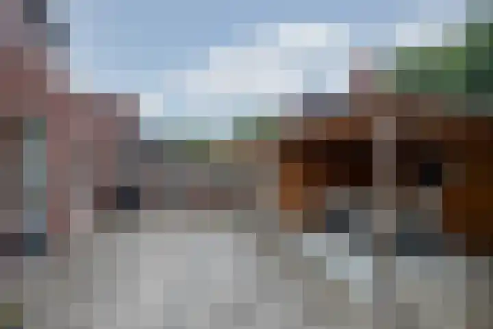 Lisdodde 28 Tegelen thumbnail 38