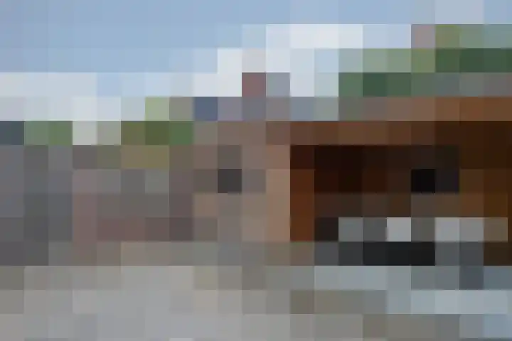 Lisdodde 28 Tegelen thumbnail 39