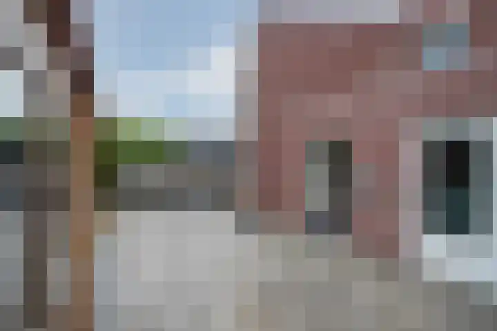 Lisdodde 28 Tegelen thumbnail 40