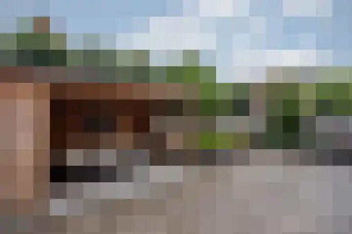 Lisdodde 28 Tegelen thumbnail 41