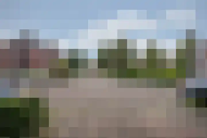 Lisdodde 28 Tegelen thumbnail 42