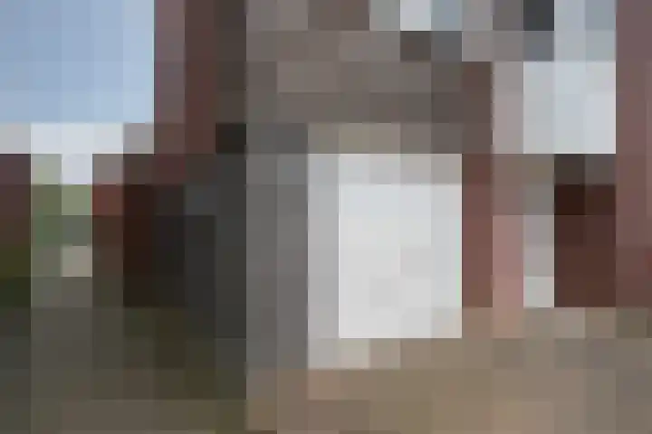Lisdodde 28 Tegelen thumbnail 43