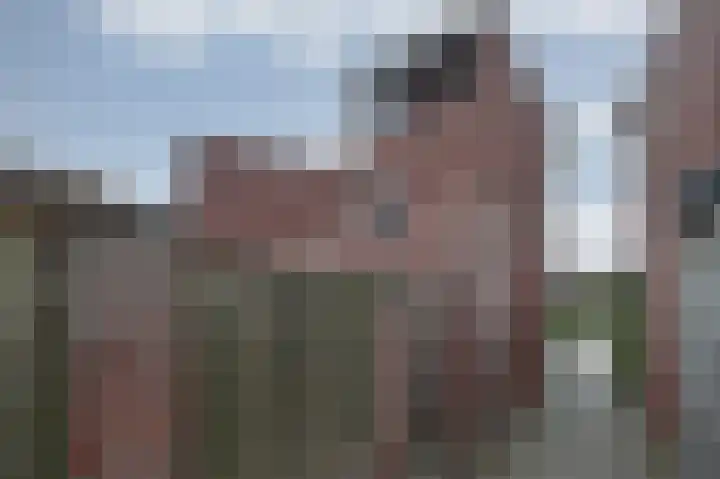 Lisdodde 28 Tegelen thumbnail 44