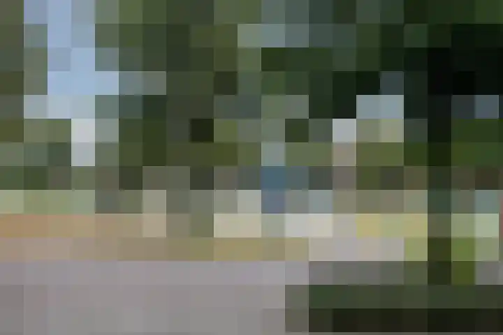 Lisdodde 28 Tegelen thumbnail 45