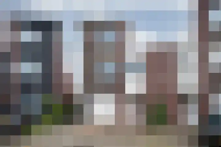 Lisdodde 28 Tegelen thumbnail 46